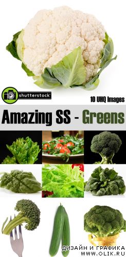 Amazing SS - Greens | Зелень