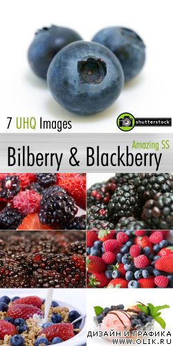 Amazing SS - Bilberry & Blackberry | Черника & Ежевика