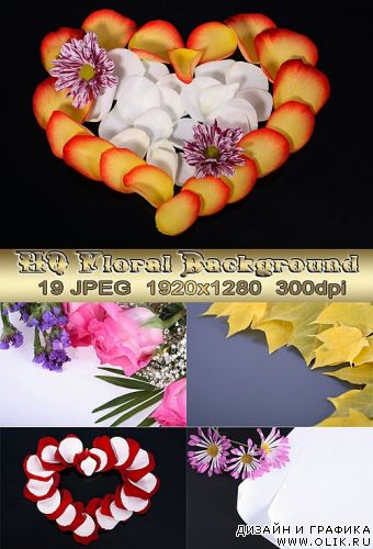 HQ Floral background