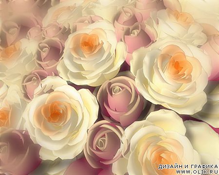 Футаж: Розы (V1806)