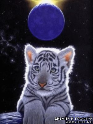 Анимационные картинки