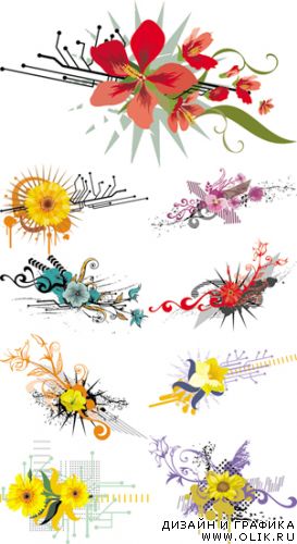 Векторный клипарт - Floral Design Elements