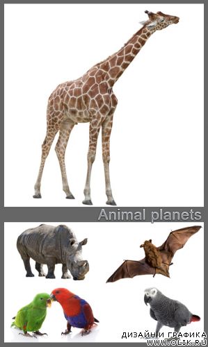 Animal planets