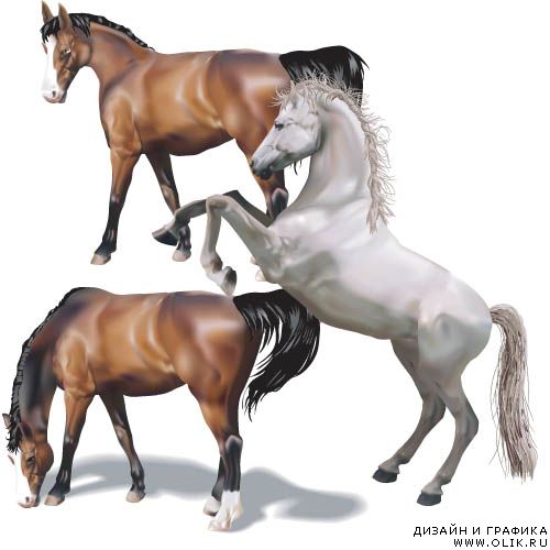 Лошади - Horse - Векторный клипарт