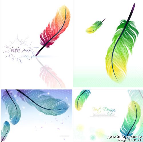 Feathers vector