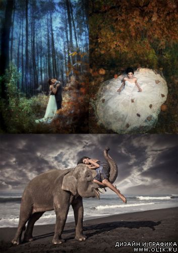 Kenvin Pinardy Photography