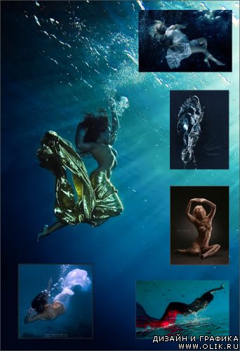 Работы фотографа Виталия Сокола (Willyam)