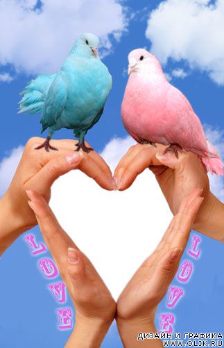 Рамка для фото - Любовь и голуби