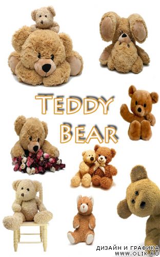 TeddyBear