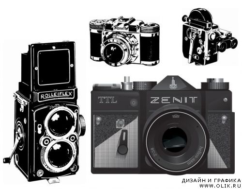 Foto vector