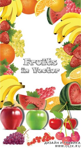 Fruit in vector