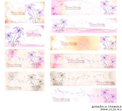 Flower blossom vector Backgrounds