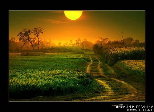 Фотограф Razaq Vance