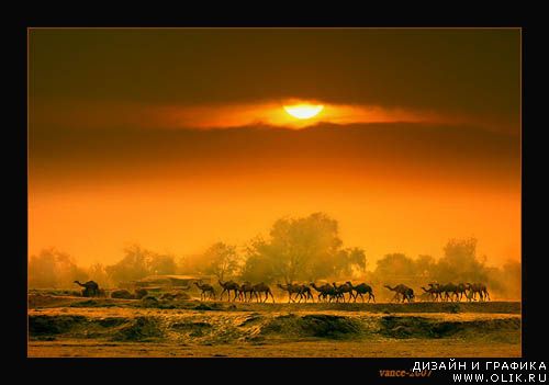 Фотограф Razaq Vance