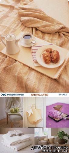 Design EXchange | SH-LAE03 | Natural Living