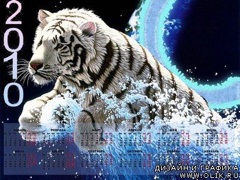 Календарь с белым тигром
