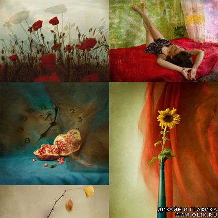 Rossen Nickolov Photography