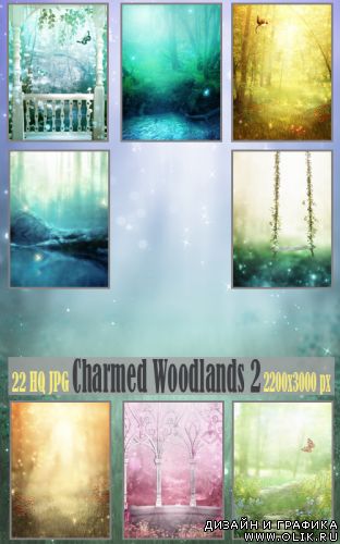 Charmed Woodlands 2