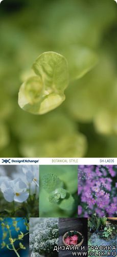 Design EXchange | SH-LAE05 | Botanical Style