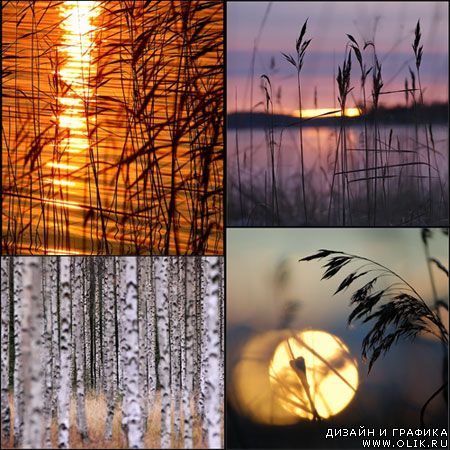 Alpo Syvanen Photography