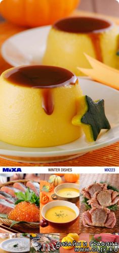 Mixa | MX-223 | Winter Dishes