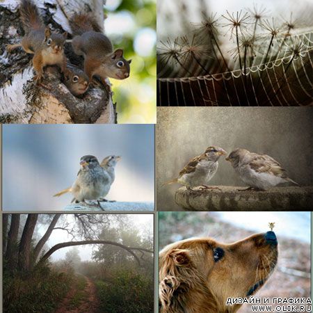 Jan Piller Photography