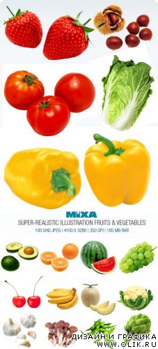 Mixa | MX-220 | Super Realistic Illustration Fruits & Vegetables