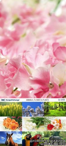 Design EXchange | GU-SH05 | Animals, Flower & Plants