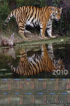 Календарь с тигром