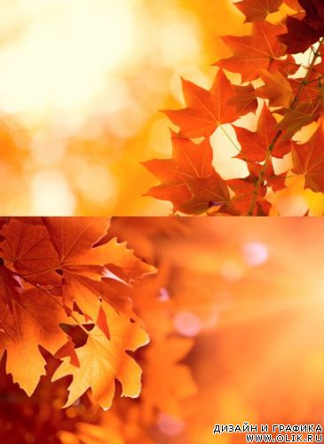Autumn Leaves
