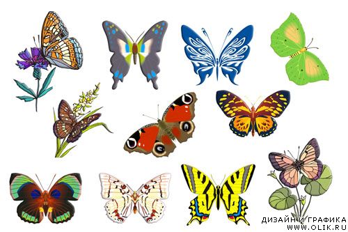 Бабочки нарисованные
