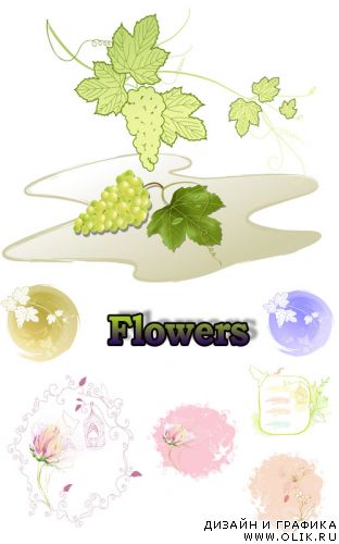 Flowers vectors 6