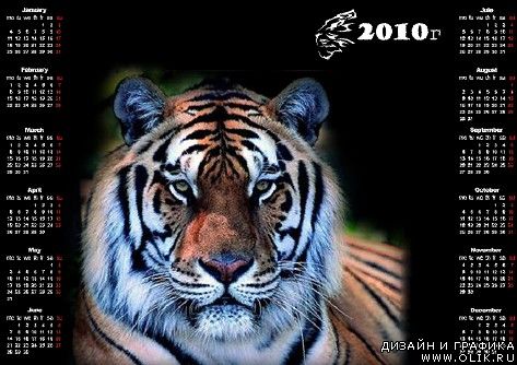Календарь с тигром на 2010г