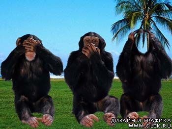 Шаблон для фото - Три обезьянки.