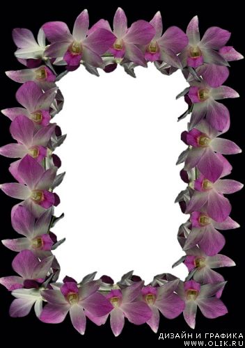 Рамка - Орхидеи