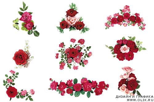 Розы для оформления