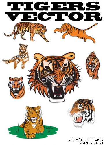 Векторные тигры