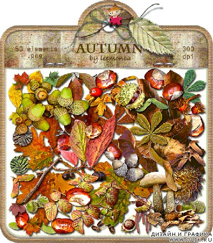 Набор клипарта 