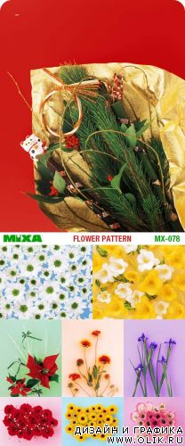 Mixa | MX-078 | Flower Pattern