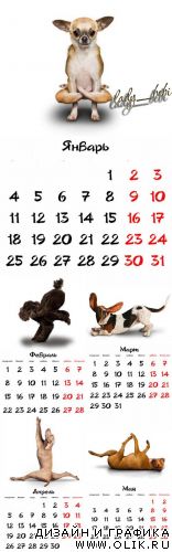 Перекидной календарь на 2010 год Собачья йога