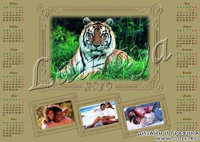 Календарь с рамками для фотошоп – Тигр голд
