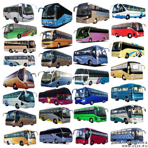 Bus in Psd