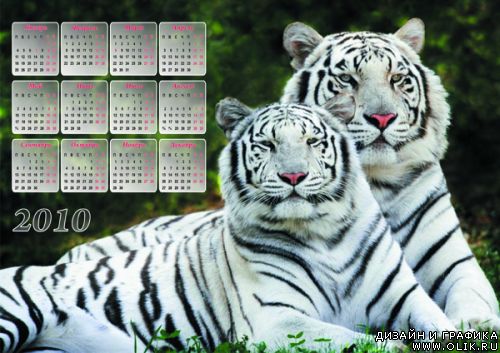 Календарь 2010 ТИГРЫ(2)