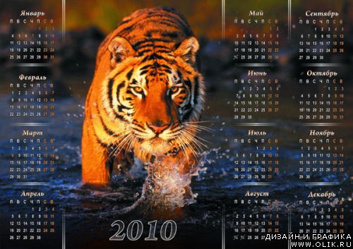 Календарь 2010 ТИГРЫ(3)