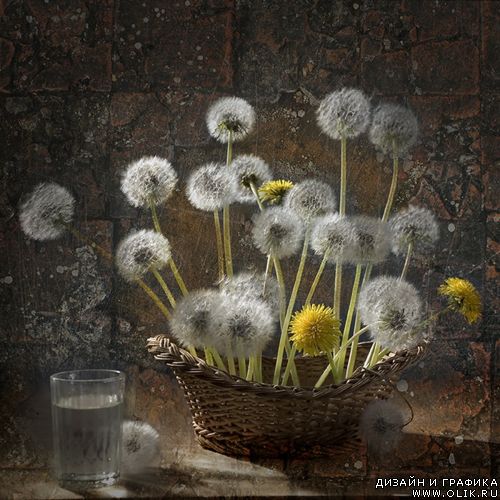 140 Still Lifes Art Photos by Igor Kolosov