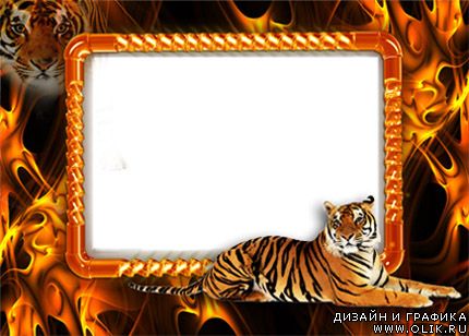 Рамка для фото - Тигры!!!
