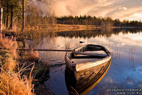 Фотограф Олюков Сергей