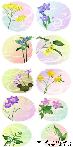 Around Flowers EPS 2 Around Flowers EPS 2