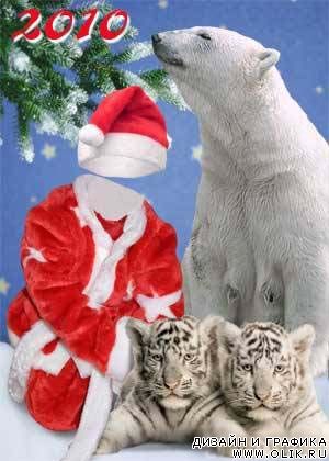 Новогодний шаблон для фото - дед мороз с тигрятами 