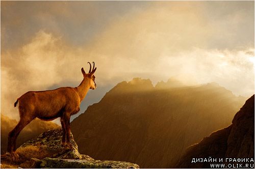 Photoworks Cornel Pufan